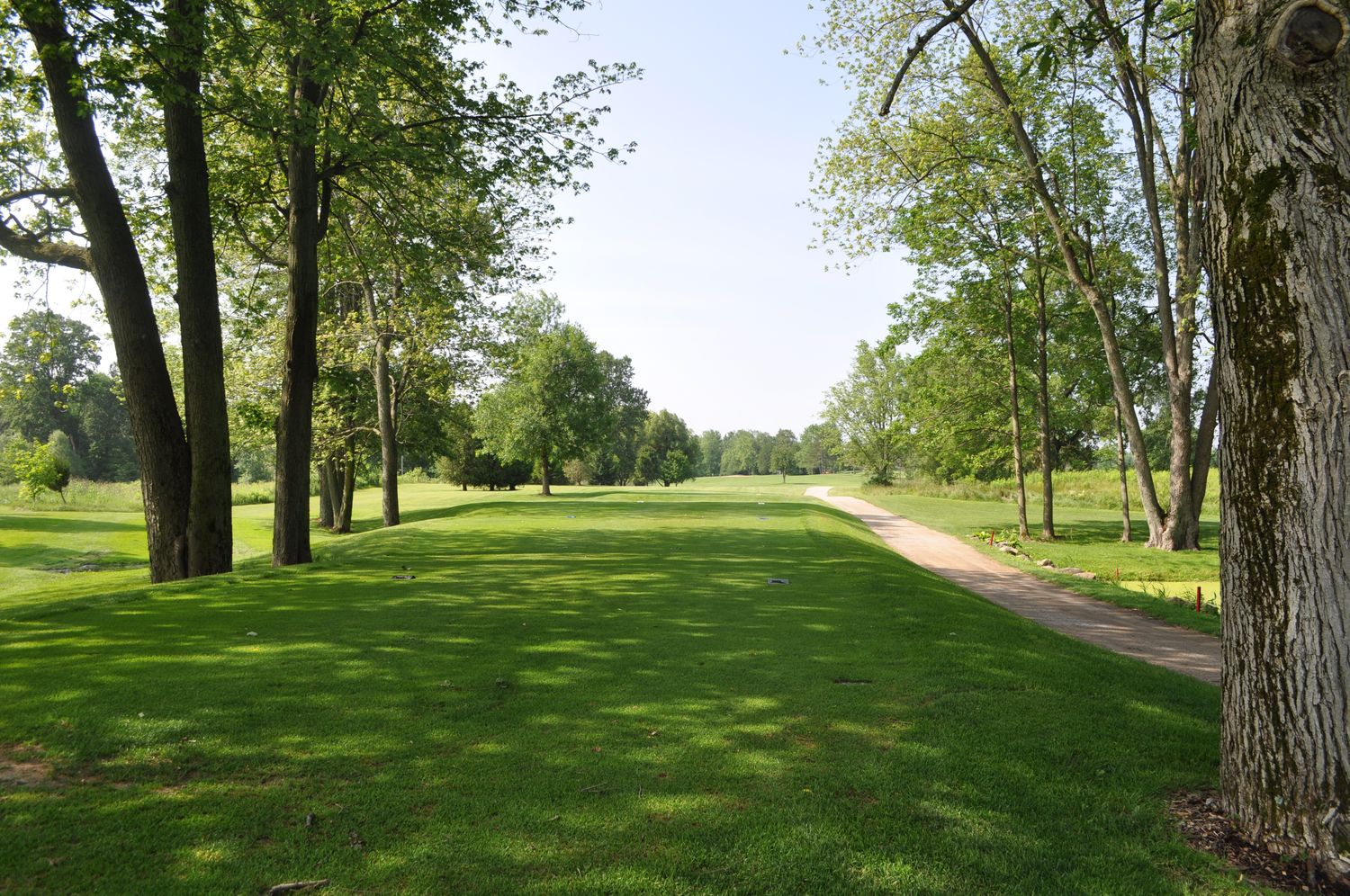 Memberships Cambridge Golf Club